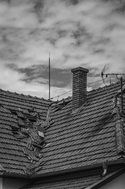 Photo by Andreas Ebner on Pexels